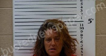 CAIN, TINA MICHELLE | 2025-08-17 12:25:00 Cherokee County, North Carolina Booking