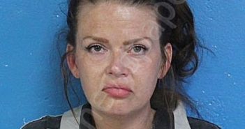 BRADLEY, STEPHANIE LEANNE | 2025-08-18 15:26:56 Sullivan County, Tennessee Booking