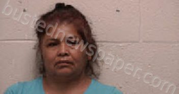 RAMOS, CATALINA JAIMES | 2025-08-18 10:25:00 Robertson County, Tennessee Booking