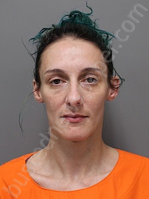 ENEA, BRITANI CLAIRE #, Hendricks County, Indiana - 2025-08-19 10:17:00