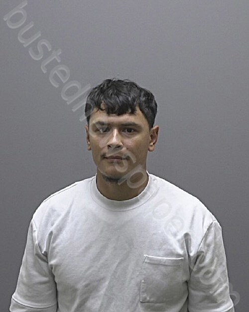 BALDOVINOS, DAVID #, Alamance County, North Carolina - 2025-08-19 15:45:00