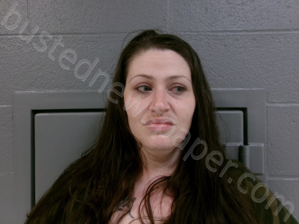 LOULIS, NICOLE IRENE #, Tucker County, West Virginia - 2025-08-19 11:15:00
