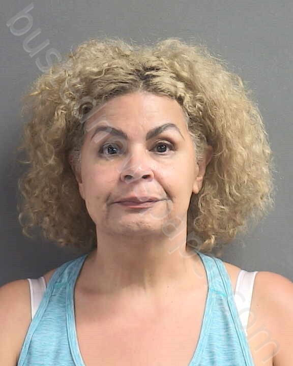 LERDO, ARLENE #, Volusia County, Florida - 2025-08-19 17:18:00