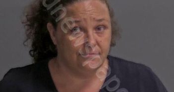 EDWARDS, NATASHA J | 2025-08-19 Sandusky County, Ohio Booking