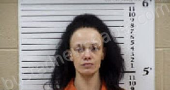 SHERMAN, BRIANNA RENEE | 2025-08-19 21:52:00 Cherokee County, North Carolina Booking