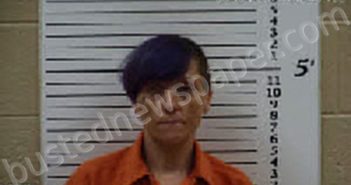 RUNION, SUE NEVEDA | 2025-08-19 15:58:00 Cherokee County, North Carolina Booking