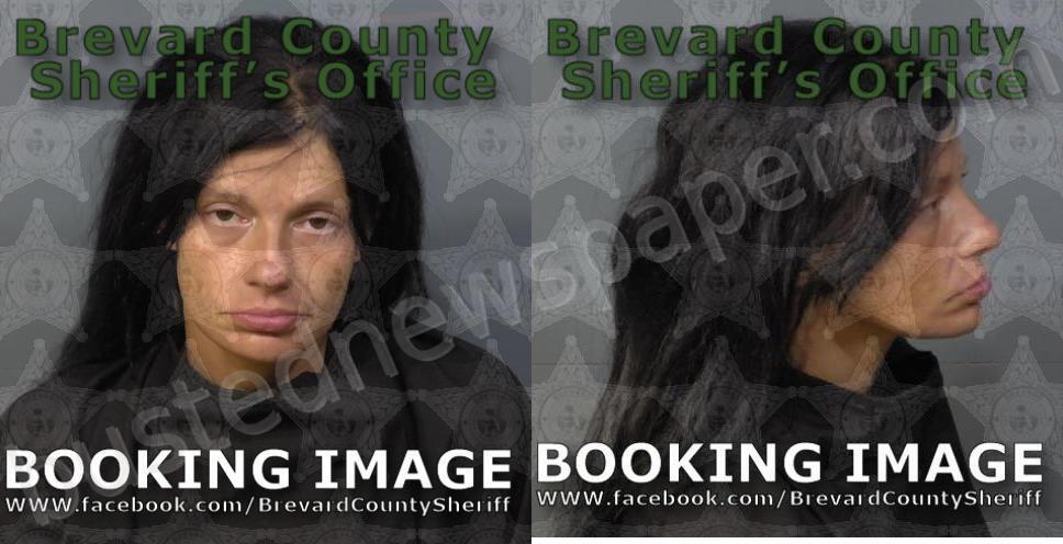 DAVIS, AMANDA LYNN #, Brevard County, Florida - 2025-08-19 03:19:00