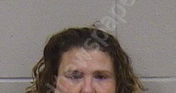 VAN GENDEREN, ERICA PATRICIA | 2025-08-21 10:03:00 Dickinson County, Kansas Booking