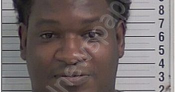 <B>ELLIS</B>, <B>CHRISTOPHER</B>, <B>LLOYD</B> #, Bay County, Florida - 2025-08-21 16:00:00