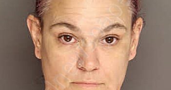 WADE, JENNIFER RAE | 2025-08-22 14:20:00 Berkeley County, South Carolina Booking