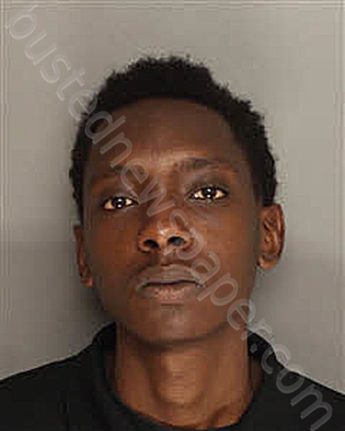 LEGREE, TY”QUEZ L #, Berkeley County, South Carolina - 2025-08-22 16:52:00