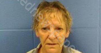 REBECCA ANN LOW | 2025-08-22 16:07:00 Faulkner County, Arkansas Booking