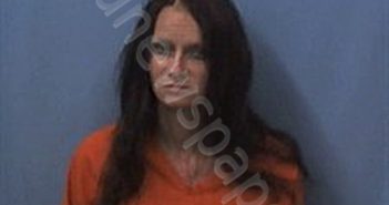 ADAMS, RACHEL | 2025-08-22 20:15:00 Van Buren County, Arkansas Booking