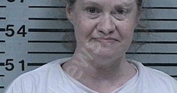 PIERCE, JENNIFER DIANE | 2025-08-22 23:59:31 Hood County, Texas Booking