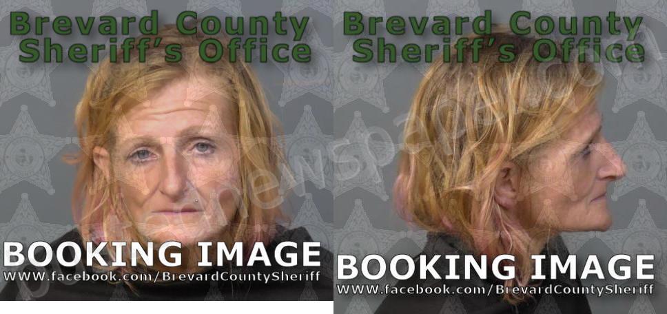 ORTIZ, REBECCA ASHLEY #, Brevard County, Florida - 2025-08-23 03:57:00