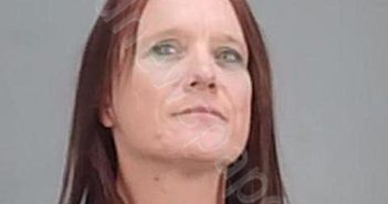 HONEYCUTT, SHELLEY ANN | 2025-08-23 00:57:00 Summit County, Ohio Booking