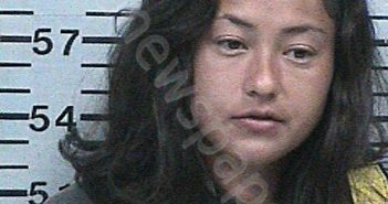 KHOKHLOV, MICHELLE BARBARA | 2025-08-23 23:28:54 Hood County, Texas Booking