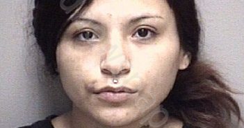 GONZALES, LIZETTE ANN | 2025-08-25 14:23:00 Galveston County, Texas Booking