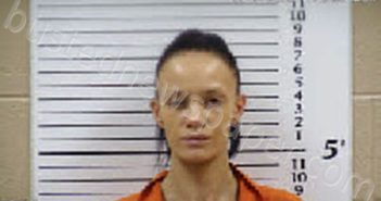 SHERMAN, BRIANNA RENEE | 2025-08-25 17:37:00 Cherokee County, North Carolina Booking