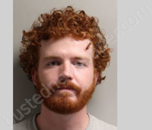 RILEY, ETHAN COLE #, Leon County, Florida - 2025-08-26 06:23:00