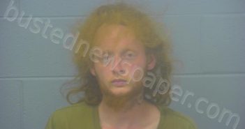 <B>MOAD</B>, <B>JOSIAH</B> <B>CALVIN</B> <B>COLLIN</B> #, Greene County, Missouri - 2025-08-26 14:58:00