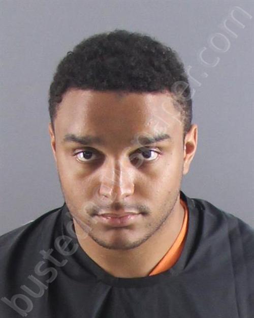 King, Avery N 20250827 Peoria County, Illinois Booking