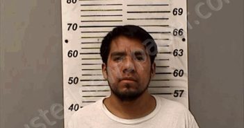 PEREZ-JERONIMO, HITAI | 2025-08-28 02:55:00 Fulton County, Ohio Booking