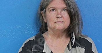 SALYER, LISA RENEE | 2025-08-29 21:32:00 Sullivan County, Tennessee Booking