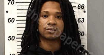 NICHOLSON, TRACY | 2025-08-29 13:13:00 Fulton County, Ohio Booking