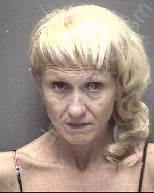 MANCHESTER, PAULA ANN #, Galveston County, Texas - 2025-08-29 18:13:00