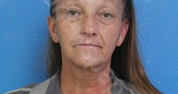 GARLAND, SANDY GAYLE | 2025-08-30 18:04:00 Sullivan County, Tennessee Booking