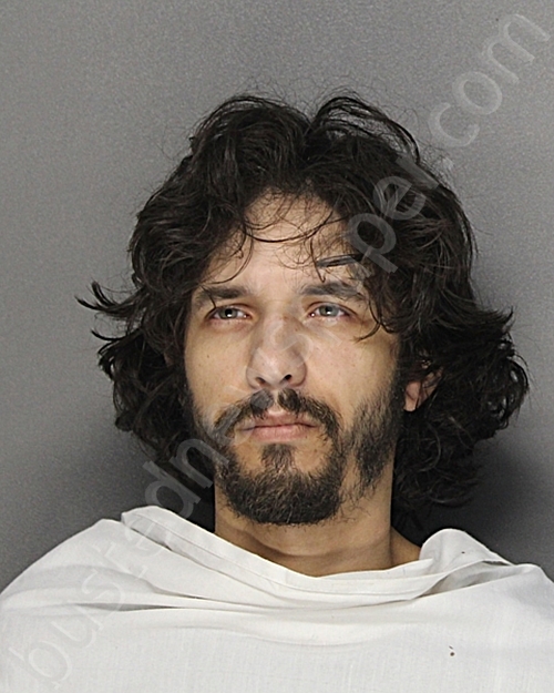 NEGRON-BATISTA, EDGAR ANTHONY #, Ellis County, Texas - 2025-08-30 04:30:31