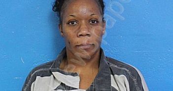 LONG, SHAMIKA MONIQUE | 2025-08-31 13:03:00 Sullivan County, Tennessee Booking