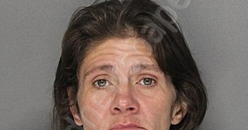 <B>LEWIS</B>, <B>CAROLYN</B> <B>BRANDY</B> #, Ellis County, Texas - 2025-08-31 00:36:23