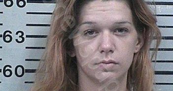 BRAKE, AMANDA LYNN | 2025-09-01 00:12:58 Hood County, Texas Booking