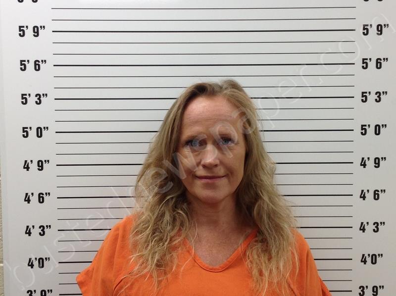 Ely, Erin Elisabeth 20250902 202000 Pickens County, Booking
