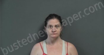 LEMONS, LISA MARIE | 2025-09-02 13:09:00 Knox County, Indiana Booking