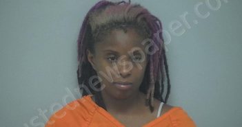 DEONDRA MAXCINE BROWN | 2025-09-03 19:28:15 Beaufort County, South Carolina Booking