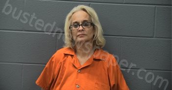 MASAMBA, JENNIFER MARIE | 2025-09-03 23:58:00 Cass County, Indiana Booking