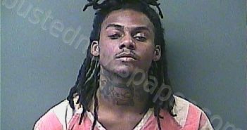 BROWN, DANIEL T | 2025-09-04 22:31:00 Laporte County, Indiana, La Porte County, Indiana Booking