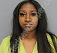 JOHNSON, ALYCE NICOLE | 2025-09-05 Medina County, Ohio Booking