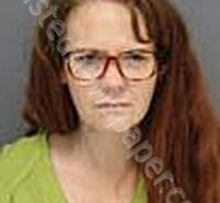 MINARD, ELIZABETH IRENE | 2025-09-05 Medina County, Ohio Booking