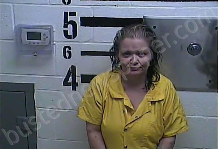 COMBS, KRISTIE ELAINE #, Larue County, Kentucky - 2025-09-05 02:55:00