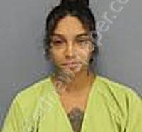 PUCCETTI, MIA MARGARET | 2025-09-05 Medina County, Ohio Booking