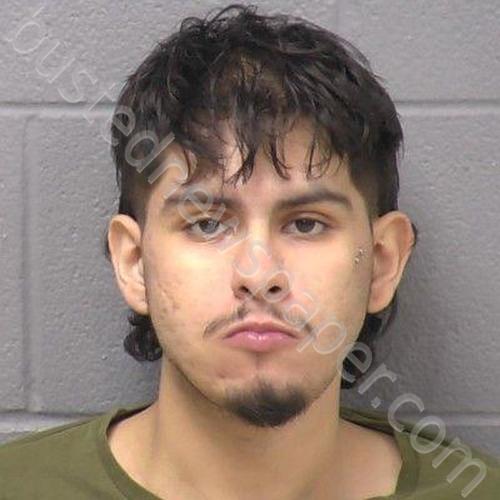 MUNOZ, RICKY A #, Will County, Illinois - 2025-09-06 04:20:00