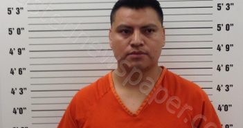 VICENTE-VICENTE, ALFREDO HORACIO | 2025-09-07 12:50:00 Pickens County, Georgia Booking