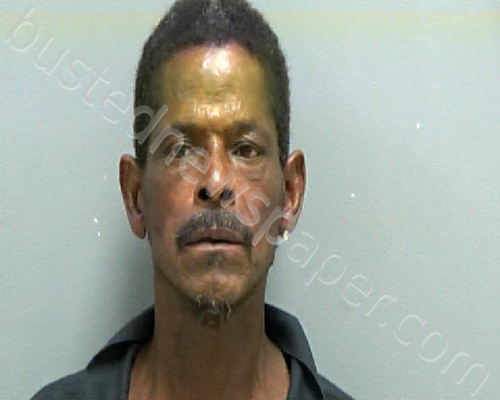 GEORGE, WALLACE #, Darlington County, South Carolina - 2025-09-07 05:28:00