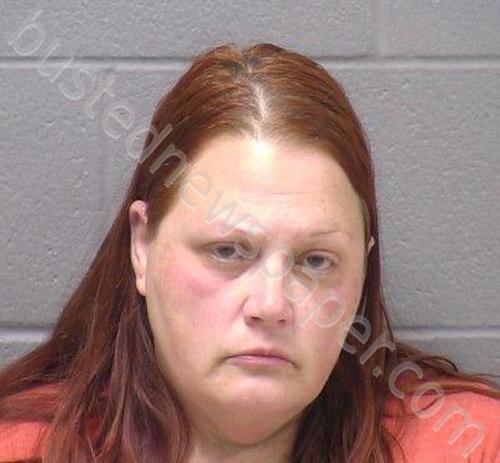BASHAM, TIFFANY M #, Will County, Illinois - 2025-09-07 14:44:00