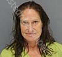 CHANEY, ERICA CAMELLE | 2025-09-08 Medina County, Ohio Booking