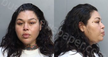 <B>ARREOLA</B>, <B>CHEYENNE</B> #, Miami-Dade County, Florida - 2025-09-09 00:13:00